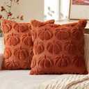 MIULEE Fall Throw Pillow Covers 24x24 Set of 2 Autumn Decorations Rust Pumpkin Accent Pillowcase for Outdoor Porch Sofa Couch Bed Living Room Plush Faux Fur Halloween Farmhouse Home Decor