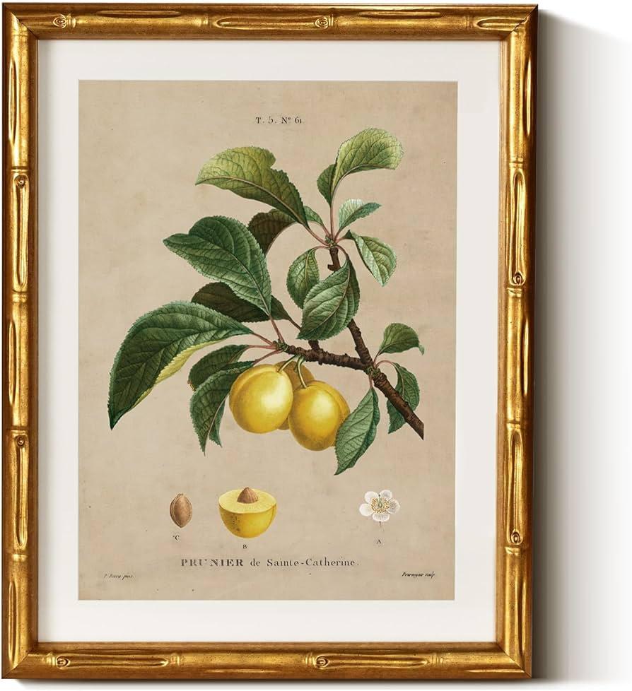 InSimSea Gold Bamboo Framed Canvas Wall Art, Retro Nature Plum Botanical Paintings, Antique Vintage Picture Frame with Mat, Victorian Home Wall Decor for Living Room Kitchen Dining, 11x14inch