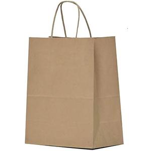 Qutuus Kraft Paper Gift Bags with Handles 8x4.5x10 25Pcs Brown Gift Bags Bulk Medium Size Small Business Bags, Party Bags, Retail Kraft Shopping Bags