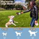 Plush Indestructible Durable Tough Dog Toys for Small Dogs, Interactive Dog Toys for Small Medium Large Dog Breeds (Raccoon)