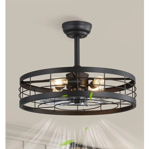 22 inch Black Caged Ceiling Fan with Light, Bladeless Industrial Ceiling Fan with Remote, Farmhouse Fan Lights Ceiling Fixtures for Kitchen, Bedroom, Outdoor (6 Speed, Timing) - Black
