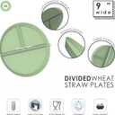 2 x 9" Portion Control Plate - Divided Dinner Plate with Dividers for Adults & Kids - BPA Free, Wheat Straw & PP Construction, Modern Style, Microwave, Dishwasher & Freezer Safe (Pack of 1, Mint Green)