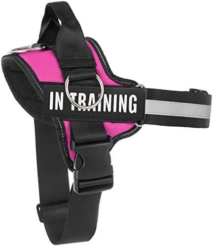Essential Dog Harness, No Pull Pet Harness with 3 Side Rings for Leash Placement, No Choke, Reflective, Adjustable Pet Vest, Easy On-Off & Improved Control Handle, Training, Walking, Running