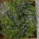 6 Pcs Mini Christmas Wreaths Winter Candle Rings Artificial Blueberry Candle Wreaths for Pillars Rustic Wedding Farmhouse Wreath Table Centerpiece Decoration for Cabinet Kitchen Front Door Home Decor