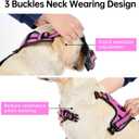 IVY&LANE No Pull Dog Harness for Small Dogs, Dog Vest Harness with Leash, Safety Belt and Storage Strap, Fully Adjustable Harness, 360 Reflective Strip, Soft Handle (Fuchsia Pink,S)