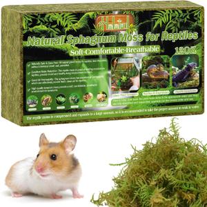Halatool 12OZ Natural Sphagnum Moss for Reptiles- 18QT Green Moss for Terrarium Plants Long Fiber Reptile Moss for Leopard Gecko Snake Hamsters Tortoises Frogs Lizards Salamanders