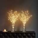 LITBLOOM Lighted White Twig Branches 32IN 100 LED with Timer Battery Operated, Artificial Tree Branch with Warm White Lights for Holiday Xmas Home Decoration Indoor Outdoor Decor