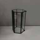 NCYP Mini Hexagon Shaped Enclosure Terrarium with Mesh, 4.1x3.6x7.8 inches Tabletop Jumping Spider, Small Insect Habitat, Vertical Placed (Terrarium Only)