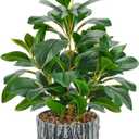 Der Rose Fake Plants Artificial Plants Indoor with Black and White Striped Pots for Room Home Bathroom Bedroom Kitchen Decor (1pack-green Style a)