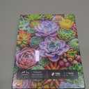 Vibrant Succulents Jigsaw Puzzles for Adults 1000 Pieces Puzzle Clearance Challenging Adult Puzzles 1000 Pieces Perfect for Game Nights Finished Size is 27.5 x 19.6 inch