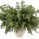 MISSPIN 12 Pcs 21.5 Inches Christmas Cedar Branches, Cedar Artificial Christmas Branches DIY Crafts Faux for Xmas Indoor Outdoor Home Decor