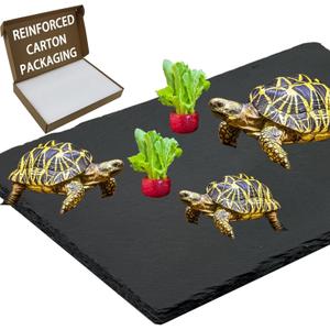 Extra Large 15.7  11.8" Reptile Basking Platform, Reptile Slate, Basking Rock, Slate Tiles Rocks for Reptiles,Terrarium Bowls for Bearded Dragon Tortoise Turtle Ball Python Snake Lizard Gecko