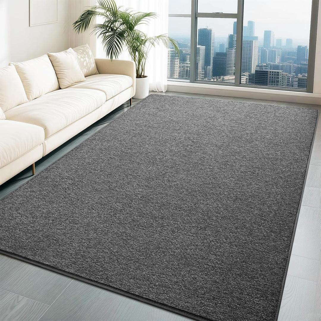 HQAYW 4x6 Area Rugs for Living Room Bedroom, Modern Thickened Memory Foam Soft Rug, Indoor Low Pile Minimalist Washable Non Slip Carpets for Kids Girls Boys Nursery Dorm Home Decor, Dark Grey