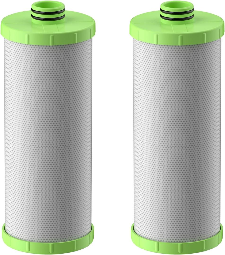 AO-US-200-R Water Filter Replacement Cartridge Compatible with AO Smith Advanced Water Filtration System, 1 Set (2 Counts)