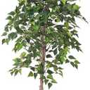 Aphighjoy 4Ft Artificial Birch Tree, Green Siberian Birch Tree for Indoor, Fake Potted Ficus Tree with Silk Leaves for Home Office Living Room Decor