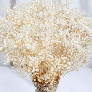 2000+ Dried Babys Breath Flowers Bulk - 17" Ivory White Dried Flower Bouquet, Real Natural Gypsophila Branches for Vase Filler, Wedding, Table Centerpiece, Home Decor, DIY Wreath Floral, Crafts