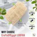 CraftsOfEgypt Natural Loofah Sponge Egyptian Luffa Body Scrubber Pack of 4 for Men & Women, Natural Bath & Shower Loofah Exfoliator, All Natural Loofah Sponges for Face Back & Body, 6" x 6"