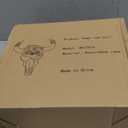 alikiki Bull Skull Head Wall Decor - Succulent Flowers Resin Cow Horn Southwestern Wall Hanging 3D Animal Sculpture Crafts Western Boho Decor for Bedroom Living Room