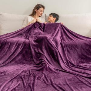 Berkshire Blanket VelvetLoft Big Oversized King Family Blanket, All Season Mid-Weight Ultra Silky and Fuzzy, Seamless Extra Large (Eggplant, 120x120 Inches)