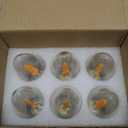 Hompavo Christmas Decorations, LED Flame Light Bulbs, Flickering Lights with Realistic Flame Effect for E12 Candelabra Base, Perfect for Chandeliers, Wall Sconces, Home Indoor Outdoor - 6 Pack