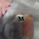 Pet Soft Washable Female Diapers (3 Pack) Female Dog Diapers, Comfort Reusable Doggy Diapers for Girl Dog in Period Heat (Bloom, M) (Medium:14''-19'')