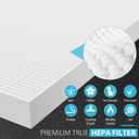 Colorfullife AP-1512HH True HEPA Replacement Filter H13 Compatible with Coway Airmega AP-1512HH Air Purifier and Airmega 200M Air Purifier, Item NO #3304899 (2 HEPA + 8 Carbon Filters)
