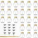 24 Pieces Christmas Booze Balls Christmas Fillable Booze Tree Ornaments Clear Plastic Round Pendant Ball with Stickers for Holiday Wedding Party Decor, Gold