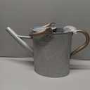 1 Gallon Metal Watering Can with Removable Spout, Nice Galvanized Steel Water Can with Embossed Design for Indoor and Outdoor Plants (Silver)