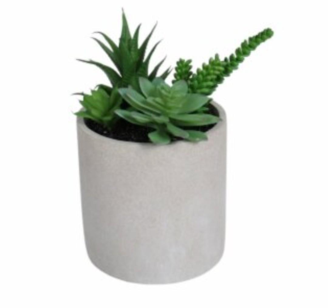 HD Deisigns Faux Succulent Greenery - 6-inch pot