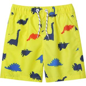 LIZENS Boys Swim Trunks UPF 50+ Quick Dry Beach Bathing Suit Toddler Swimsuit Swimwear