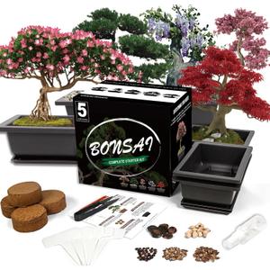 Bonsai Starter Kit, 5 Seeds Growing into Acacia, Wisteria, Sakura, Red Maple and Black Pine, Including Complete Gardening Tools with A Gift Box, Christmas Gifts for Men Women Beginners