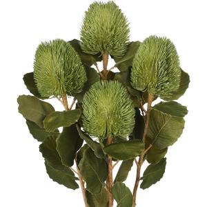 4Pcs Artificial Flowers Bouquets 23 Inch Fake Fall Flower Green Long Stem Autumn Faux Banksia Flowers Floral Arrangements for Home Bedroom Table Wedding Party Boho Decor