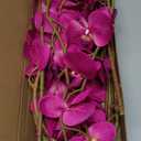 Hot Pink Artificial Orchids Flowers 5PCS Faux Orchid Stems 35.4" Phalaenopsis Branches for Tall Vase for Bridal Shower Home Party Wedding Decoration (Hot Pink)