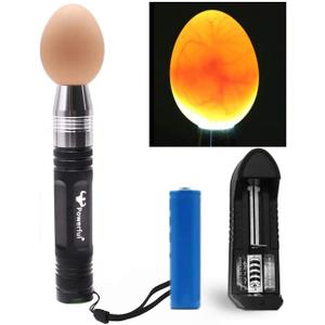 Powerful Professional LED Light Egg Candler Incubator Stainless Steel Tester for All Egg Type, Ultra Bright, Powered Portable, with Full Illustrated Egg Candling Guide (B- Include Batteries)