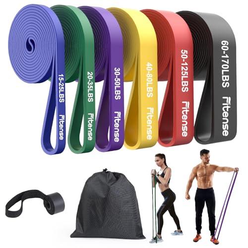 Fitense Resistance Bands Set - Pull Up Bands with 6 Resistance Levels 15-170 LBS for Men Women, Exercise Bands with Door Anchor, Training Poster & Pouch for Body Stretching, Pull Up Assist
