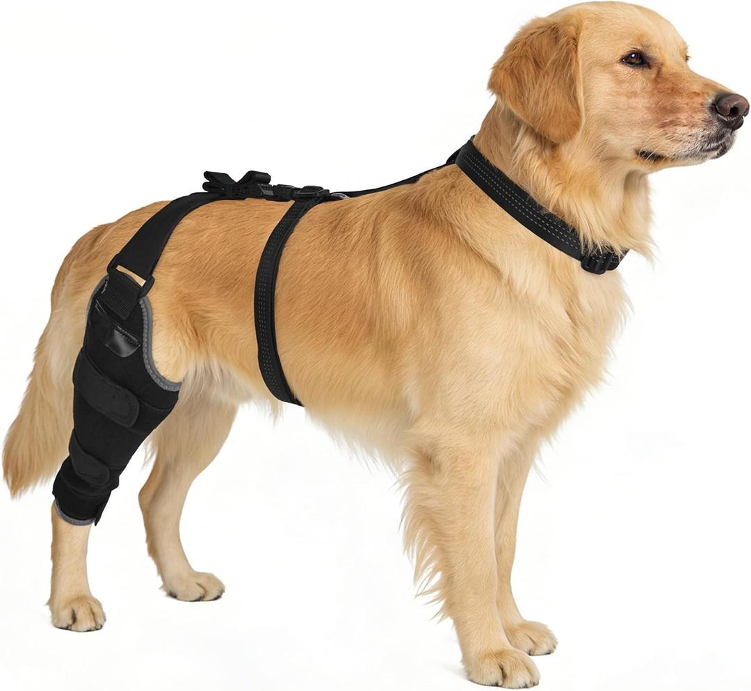 Dog Knee Brace for Torn ACL Hind Leg,Hot&Cold Gel Pack,Stay-Put Anti-Slip for CCL Recovery, Arthritis,Relieve Swelling&Pain and Rehabilitation,Reflective,Breathable Adjustable-Right Leg/L Size