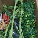 Reptile Plants, Terrarium Hanging Plant Vines Artificial Leaves Reptile Hide, Leopard Gecko Tank Accessories, Terrarium Decorations for Bearded Dragon Lizard Snake Geckos Chameleon