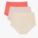 Warner's Women's Blissful Benefits Dig-Free Seamless Brief 3-Pack, Size L