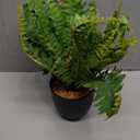 Hollyone Artificial Fern Plants in Pot 18.8" Small Artificial Boston Fern 24 Leaves for Outdoors & Indoor Faux Potted Plant Fake Ferns Bush Plant Patio Garden Farmhouse Porch Home Decor Dusty Green