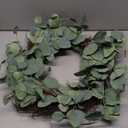 HD 24in Eucalyptus Wreath