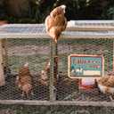 2 x Personalized Gifts for Chicken Lovers  Writable Chicken Coop Sign, Vintage Metal Tin Sign for Outside Fence, Farm Gate or Indoor Wall Decor, Perfect Christmas Decoration 12"X8"