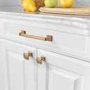 Amerdeco 10 Pack 1-1/3 Inch Champagne Bronze Cabinet Knobs Gold Cabinet Knobs Dresser Knobs Round Drawer Knobs and Pulls for Bathroom Cabinets K0014