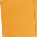 Amazon Basics Clasp Kraft Envelopes for Documents, Gummed Mailing Envelope, 9" x 12", 100-Pack