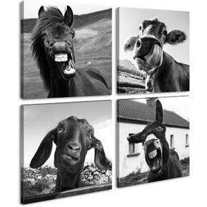 Black and White Wall Art Animal Wall Decor Horse Donkey Sheep Cow Canvas Pictures Prints Funny Decor Posters for Mens Bedroom Office Farmhouse Decoration Stretched Framed Ready to Hang 1212 inch4