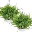 Set of 2 Artificial Hanging Ferns for Outdoors, Pre-Made Hanging Ferns for Outdoors Faux Greenery Plant Large Look Real Resistant UV Resistant for Indoor Balcony Front Porch Yard Garden Decor