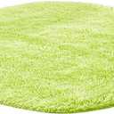 Super Soft Area Rugs Shaggy Carpet for Bedroom Living Room Dining Room Kids Room Bedside Home Decor 1 feet Round,Lime Green
