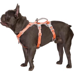 Huntboo Escape Proof Dog Harness, Escape Artist Harness, Fully Reflective Harness with Padded Handle, Breathable, Durable, Adjustable Vest for Small Dogs Walking, Training, and Running Gear (Orange,S) (Small(Pack of 1))