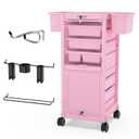 TASALON Pink Lockable Salon Cart with Wheels, Beauty Salon Station Trolley with 6 Drawers & Heat-Resistant Tool Holders, Rolling Barber Organizer for Hair Stylist, Spa & Tattoo Studio