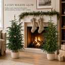 3FT Artificial Norfolk Pine Trees with Real Touch Leaves, 2 Pack