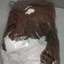 Unisex Adult Onesie Pajamas, Animal Halloween Costume, One-Piece Cosplay Sleepwear for Men and Women (Medium, Squirrel)